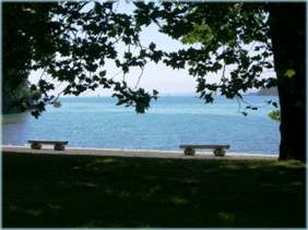 2 Bänke am See